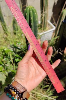 ADDON - Heat Activated Ruler