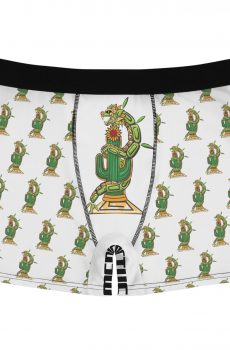 Medicactus Men's Boxer Briefs