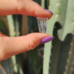 JN07 Field Collected x Peru Bart *